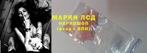 spice Аркадак