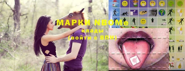 таблы Новозыбков